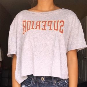 2 cropped t shirts